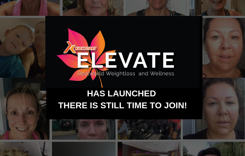 elevate kick start fat loss